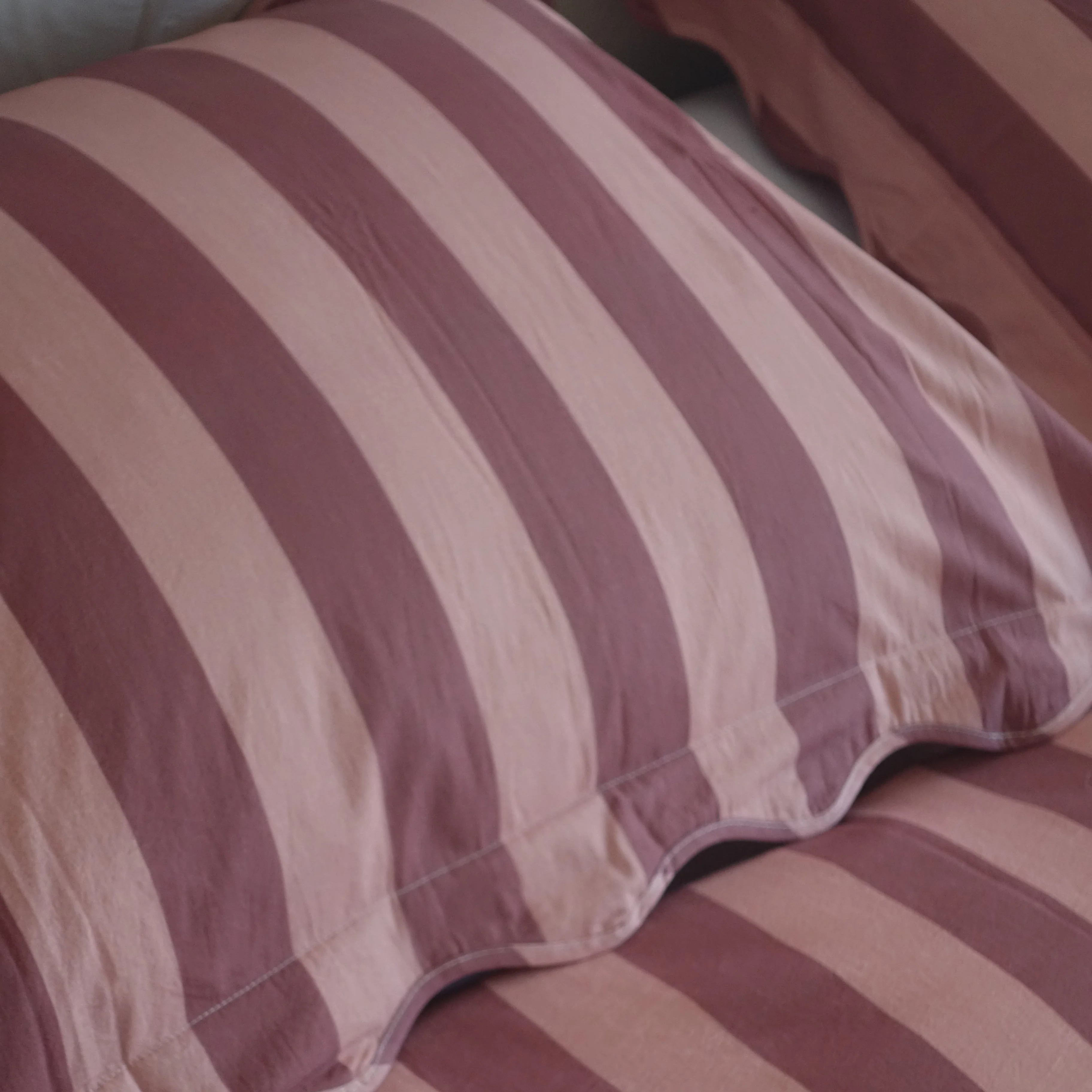 Scallop State of Mind - Image 7